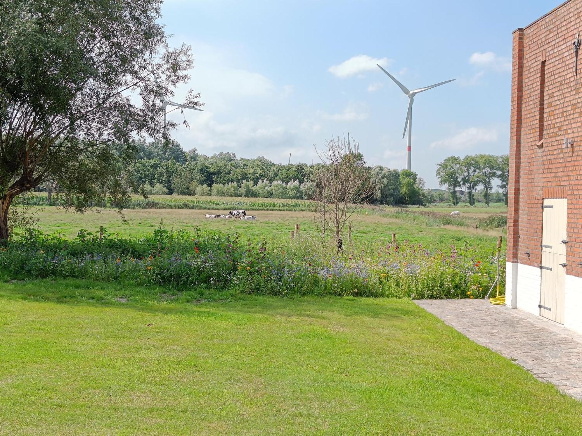 Beautiful 3-Bedroom - 3-Bathroom Appartment Pendula Bruggy Exteriér fotografie